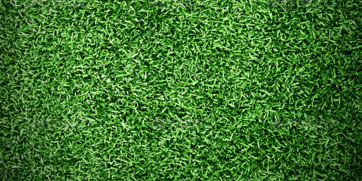 stmafca's profile banner image