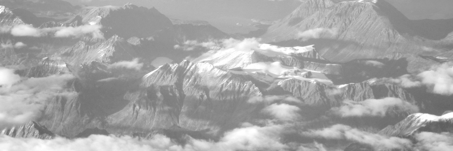 Wanderingbears's profile banner image