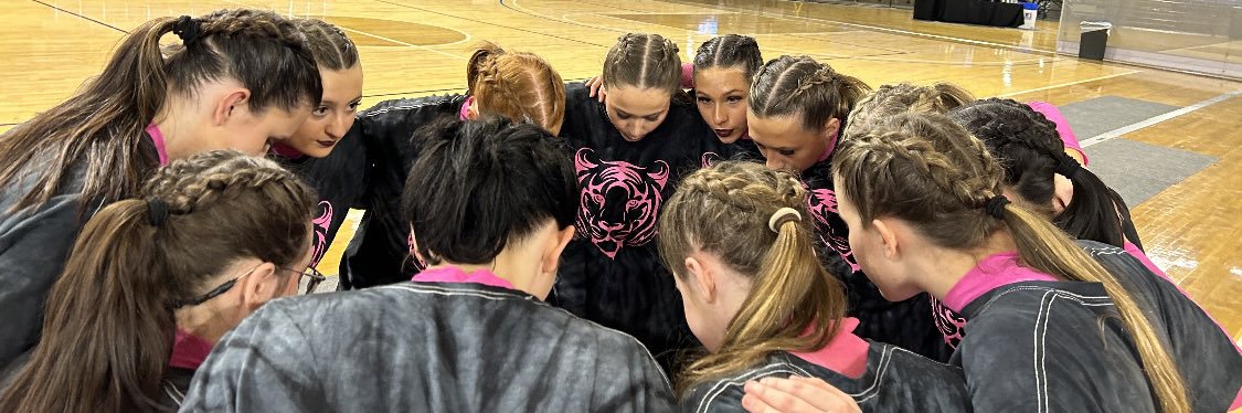 FestusDanceTeam's profile banner image
