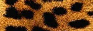IamValencia02's profile banner image