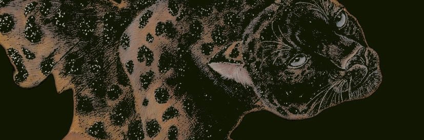 nycprnts's profile banner image