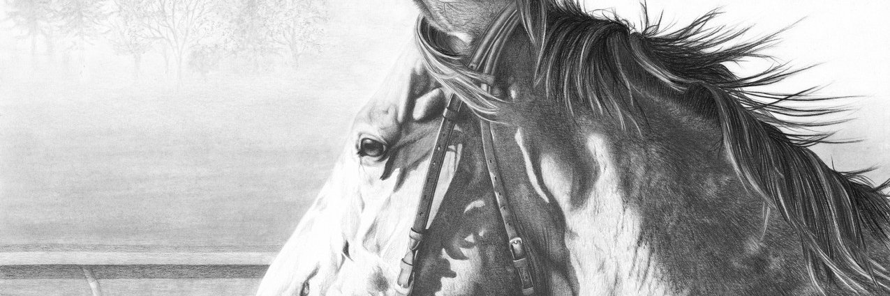 mdfadotca's profile banner image