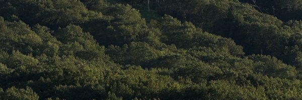 btqcnrsfttrcems Profile Banner