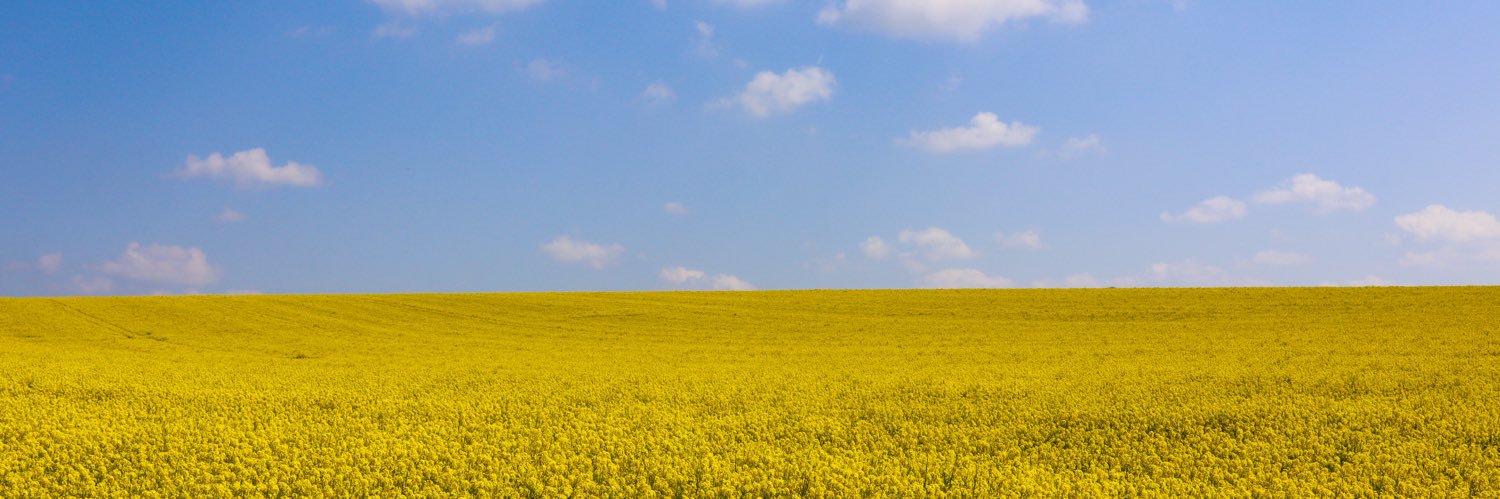 CharRhindTutt's profile banner image