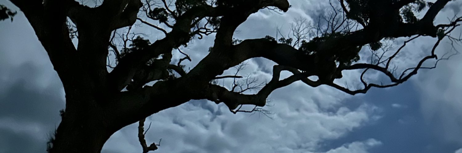 kitabatake4646's profile banner image