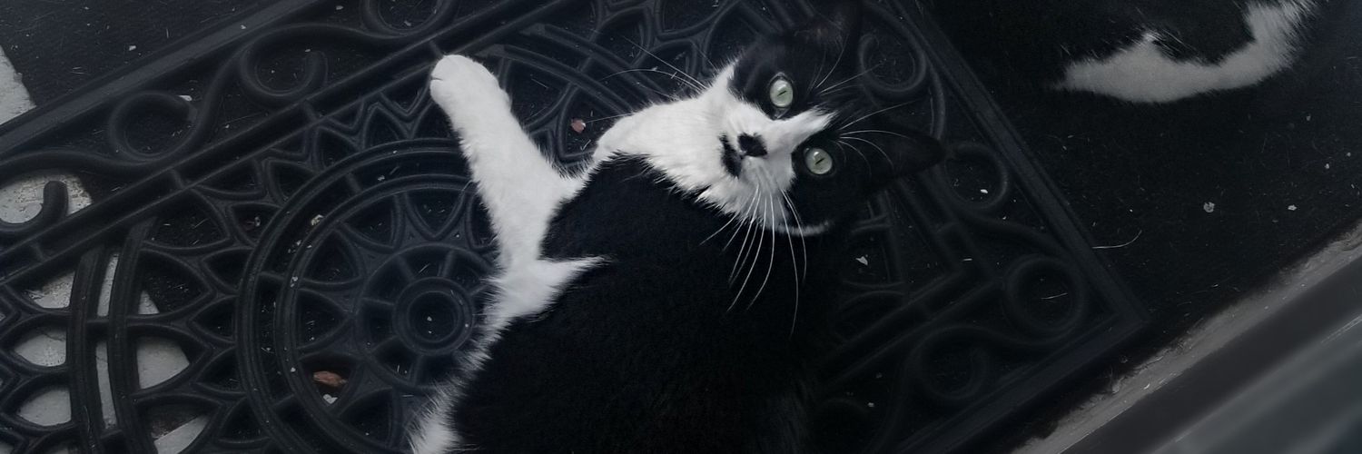 tbelxo's profile banner image