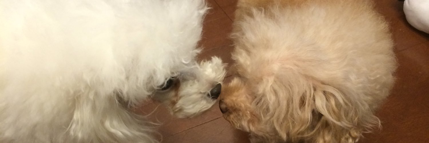 deepy0427's profile banner image