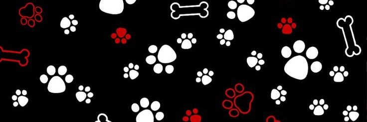 🖤LoveBite🖤 banner