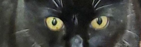 Standerss_ Profile Banner