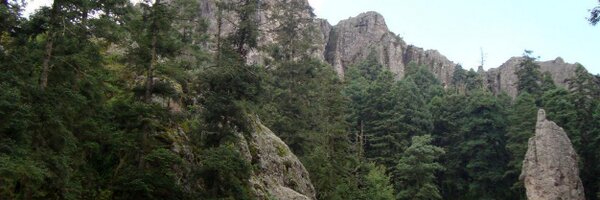 Olivem294 Profile Banner