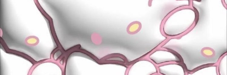 imthinkingabtit's profile banner image