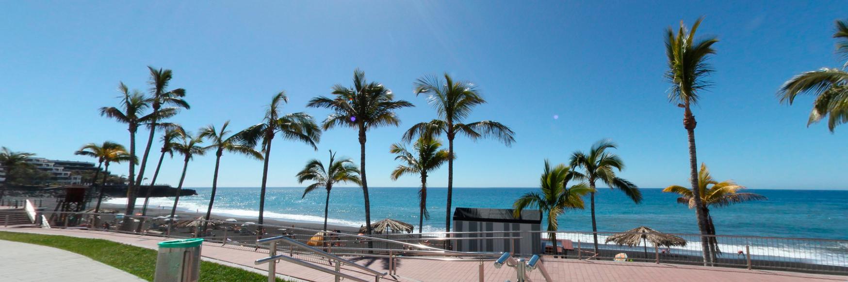 la_palma's profile banner image