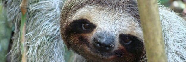 BumbleBee1209's profile banner image