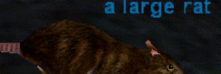 valentingomez1_'s profile banner image