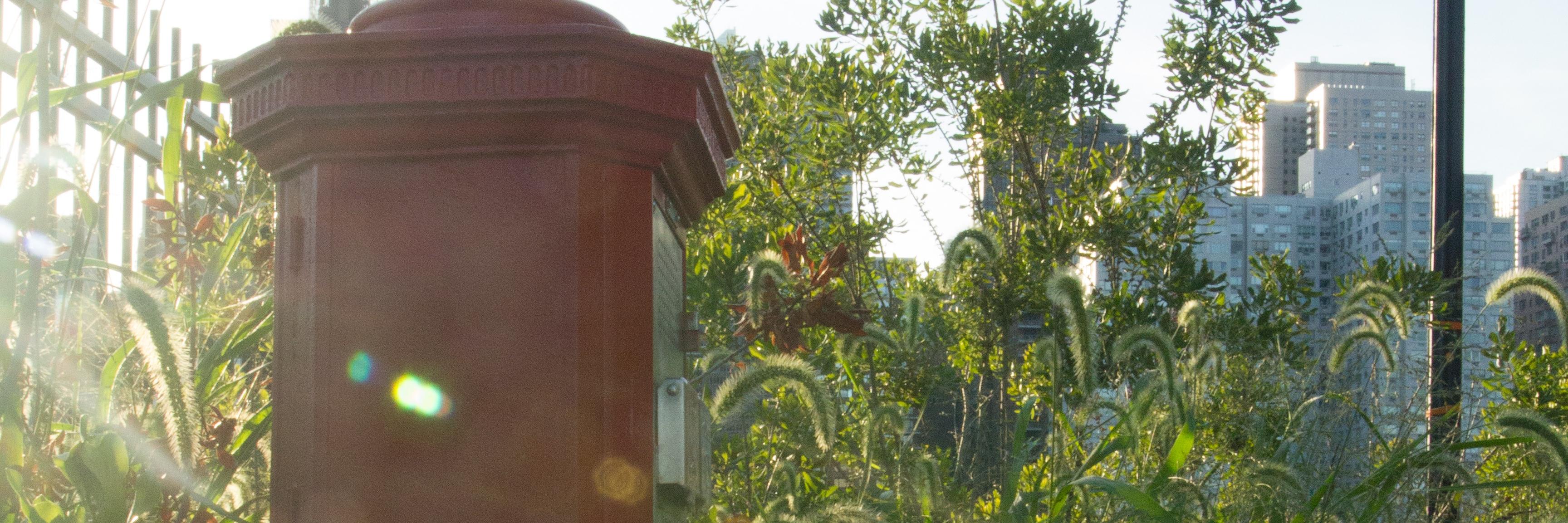 Charlotte Keith banner