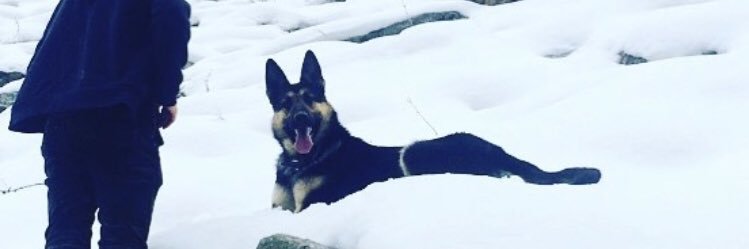 Мохаммед Шоаиб banner