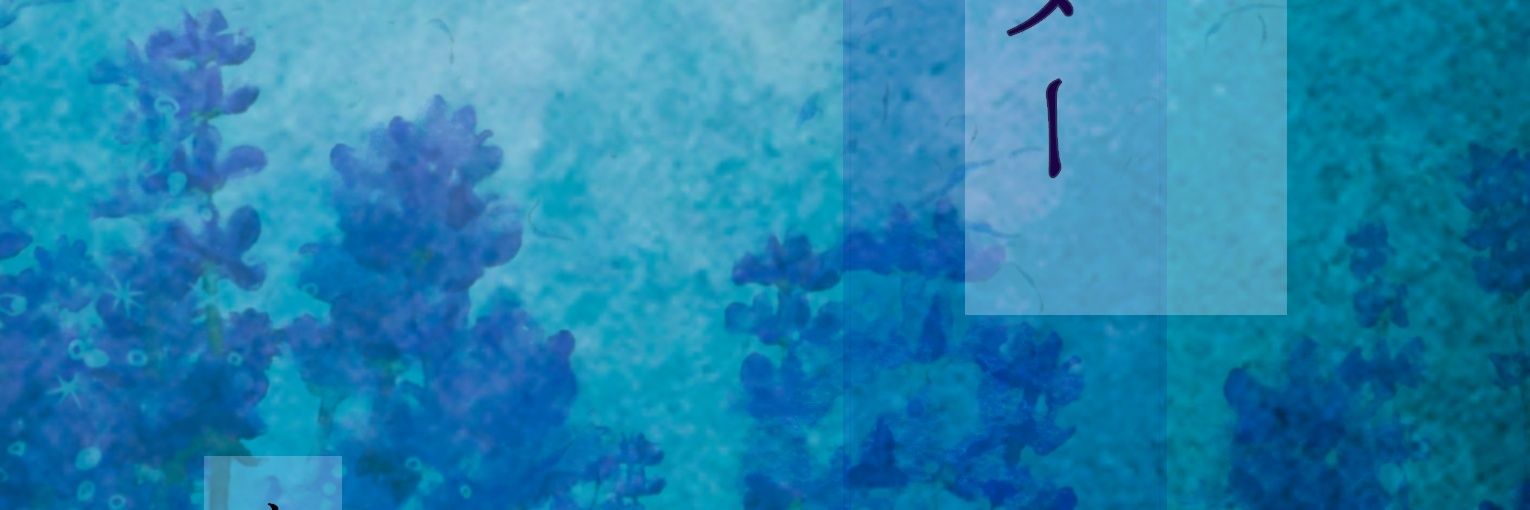 kanuretan's profile banner image
