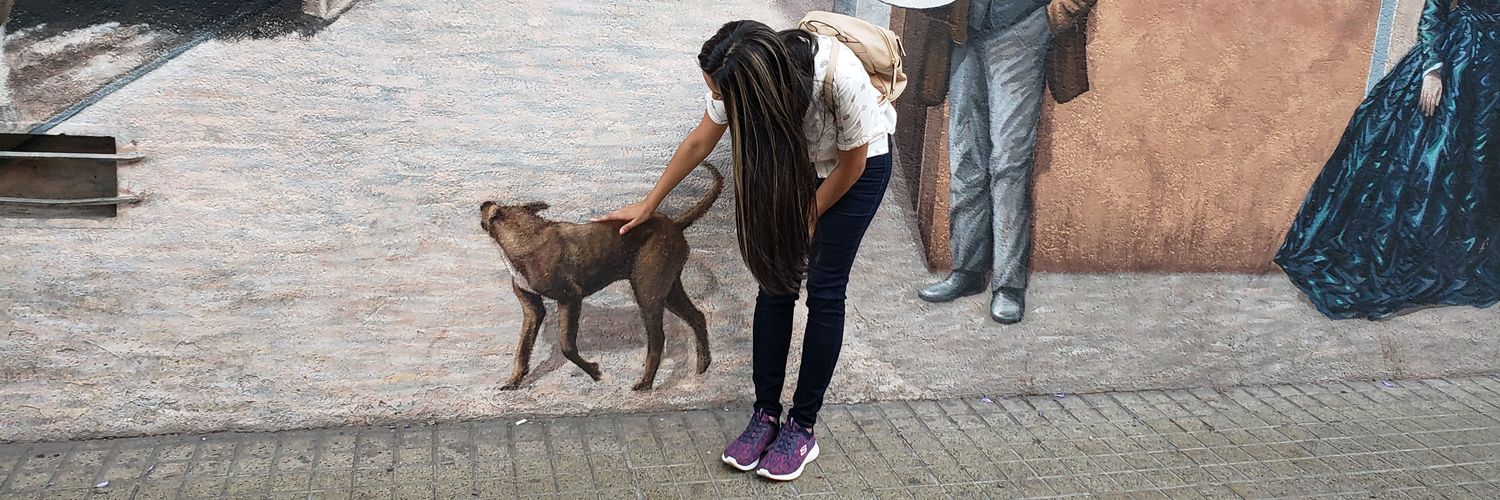 Maria Jose Merling banner