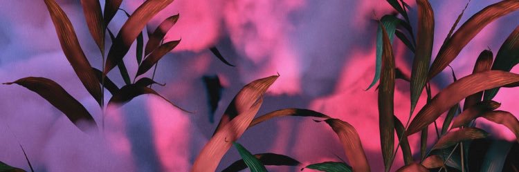 josephgoose's profile banner image