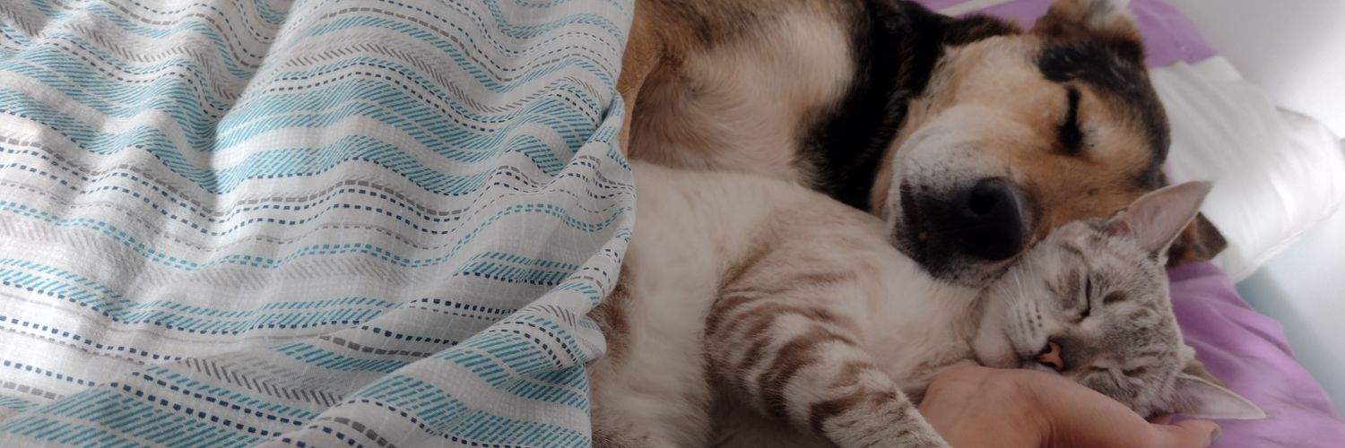 karencasaa's profile banner image