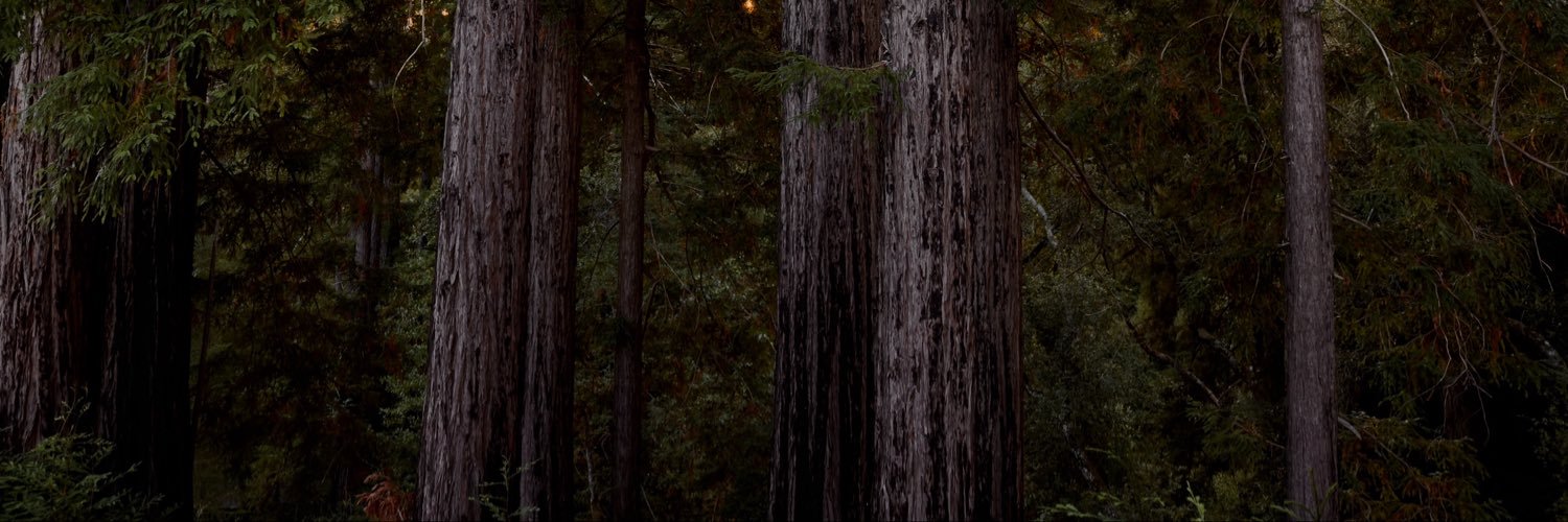 rtroar's profile banner image