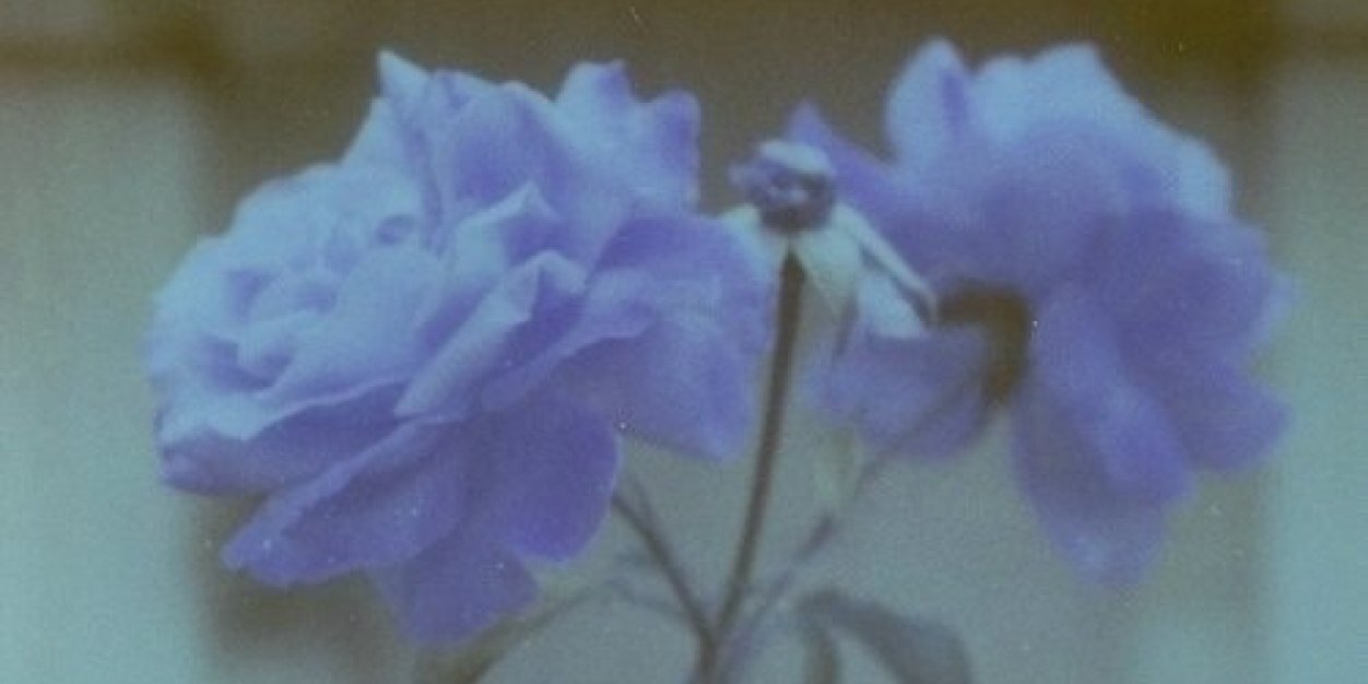hcherreraa's profile banner image