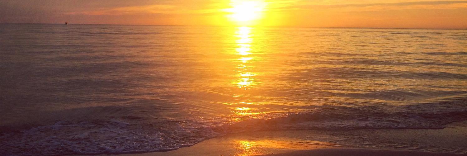 emily_sisson's profile banner image
