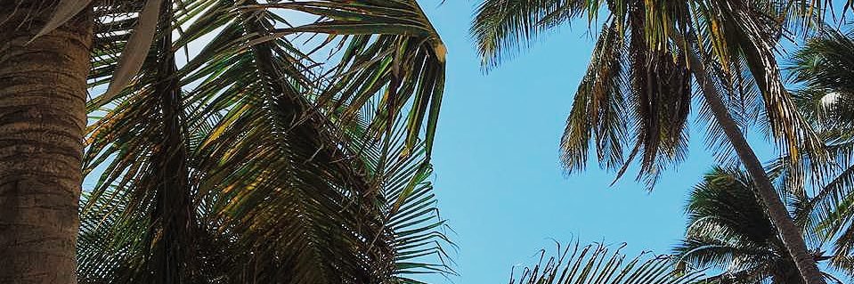 vickygenesini1's profile banner image
