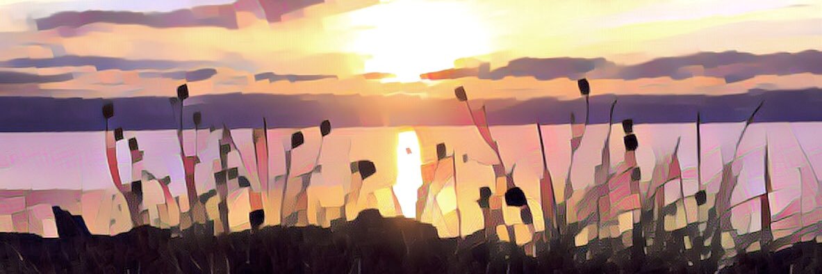 PyrateParadox's profile banner image