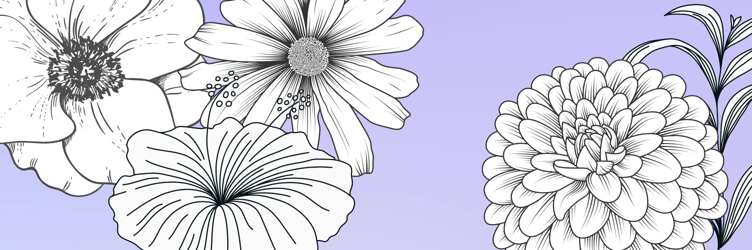 katelyn_bailey9's profile banner image