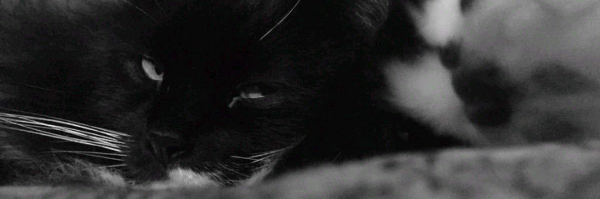 lulu *.☽ .* :☆ﾟ. banner