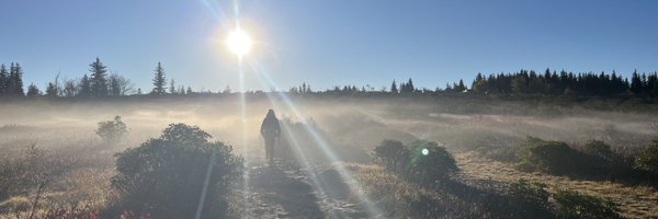 hpmcd1 Profile Banner