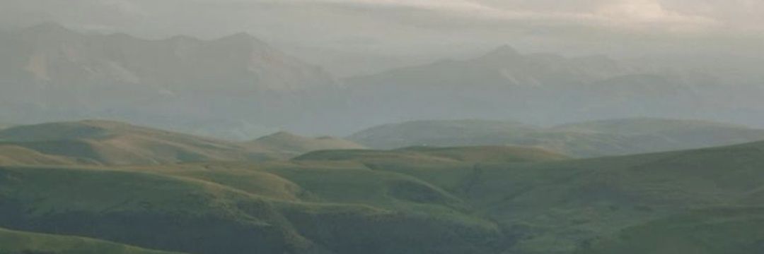Фея Драконьих холмов🌙 banner