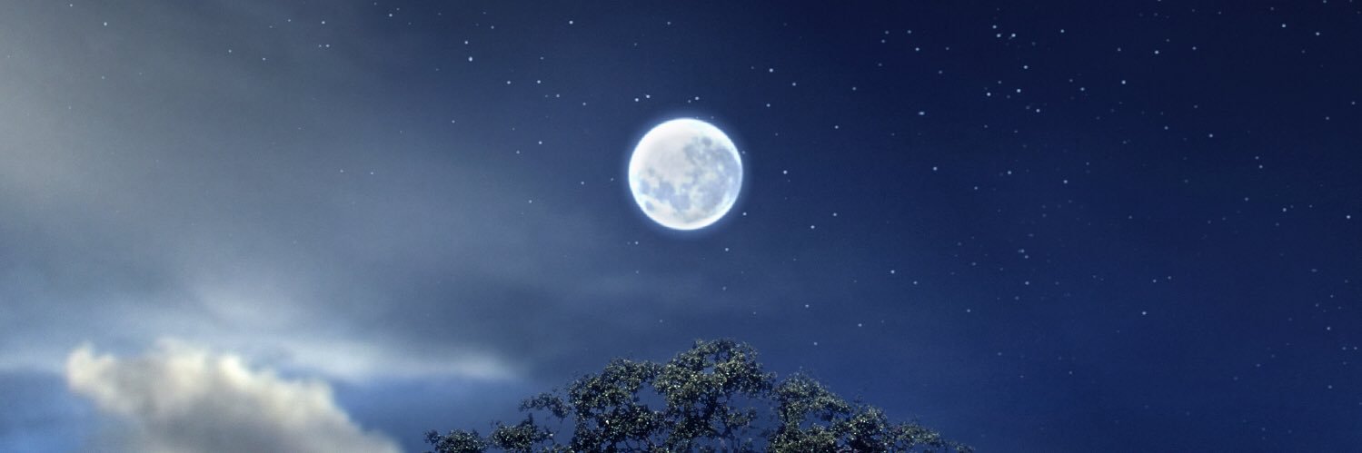 rromerc's profile banner image
