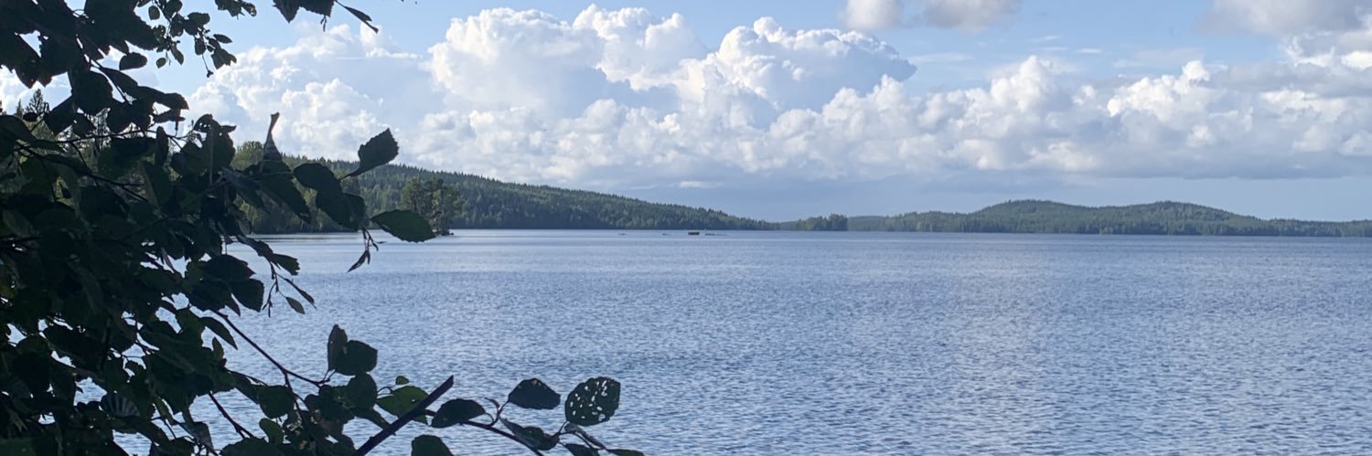 Sofia Vilhelmsson banner