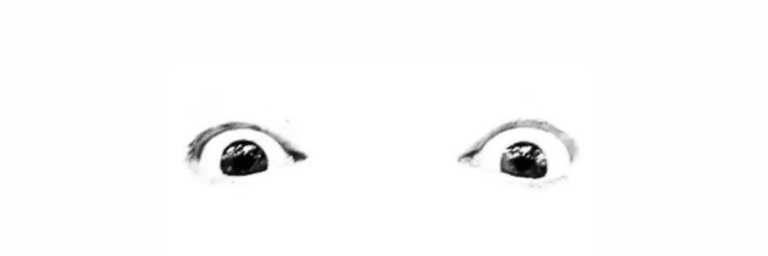 dani banner