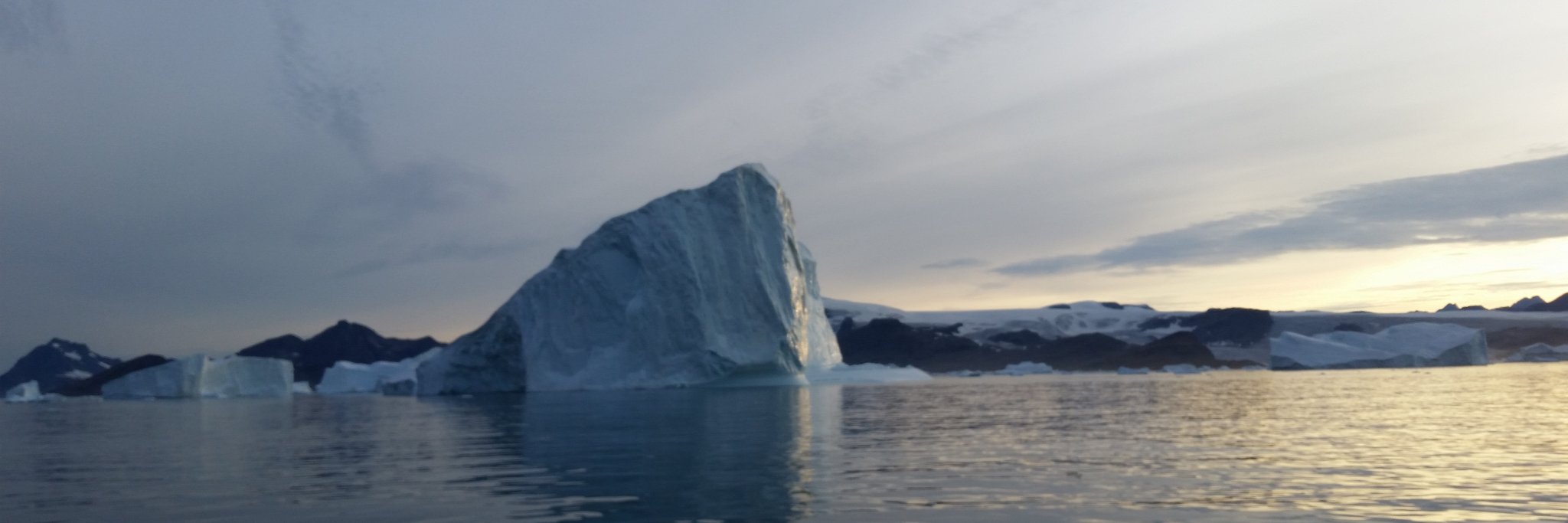 Lena Wilderäng banner