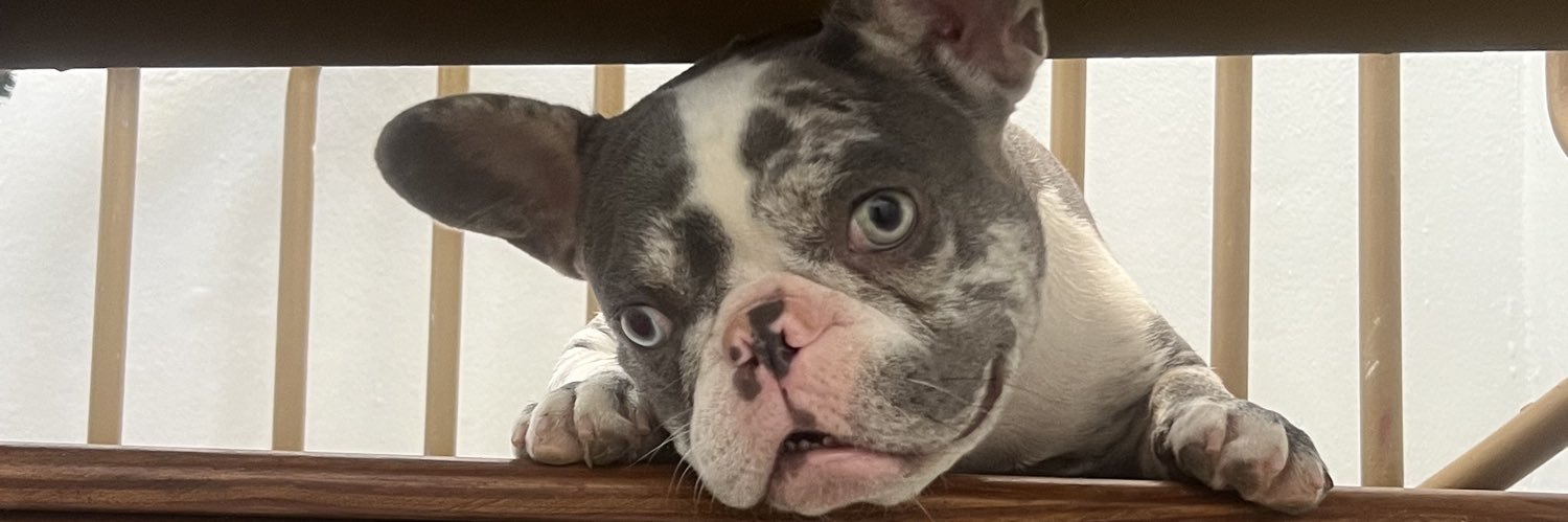 𝕰𝖑 𝕯 𝖎 𝖆 𝖇 𝖑 𝖔 banner