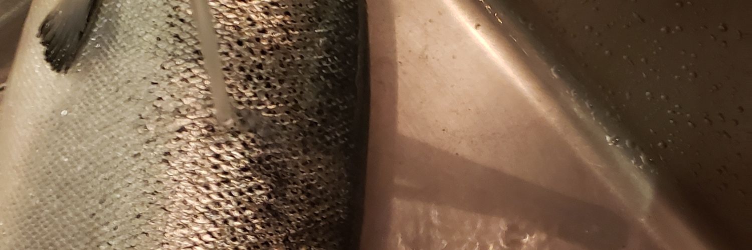 asnr0513's profile banner image
