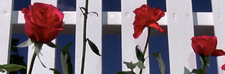 megfranc0's profile banner image
