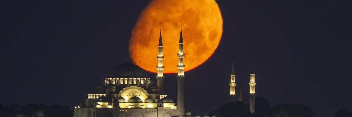 Doç. Dr. Gökçe Ok banner