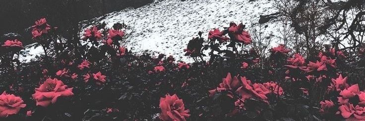 𝖁𝖑𝖆𝖉 𝕿𝖊𝖕𝖊𝖘 ~ 𝕯𝖗𝖆𝖈𝖚𝖑𝖆's banner