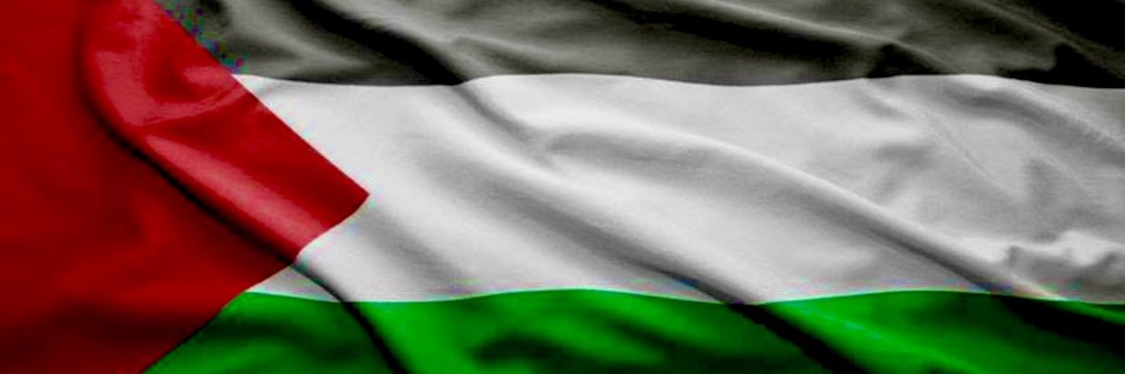 بلال محمد عبد العال's banner
