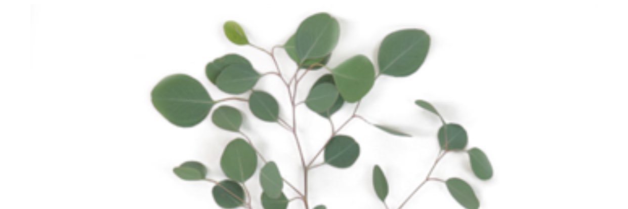 LPotter215's profile banner image