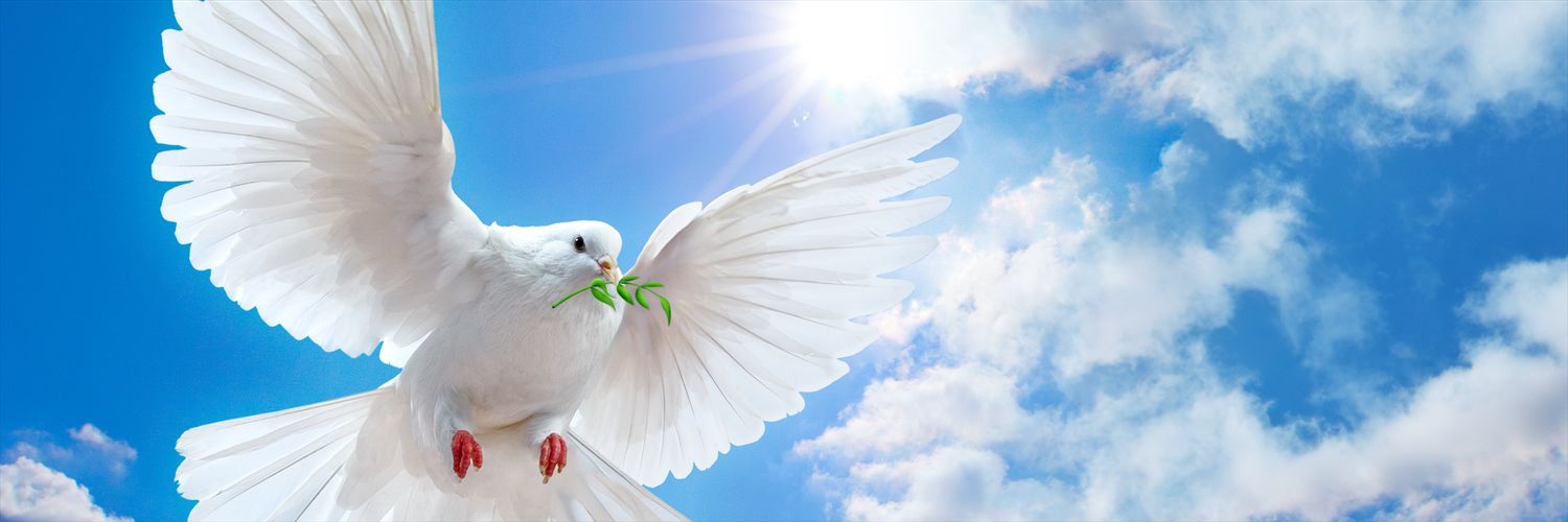 Adrián García banner