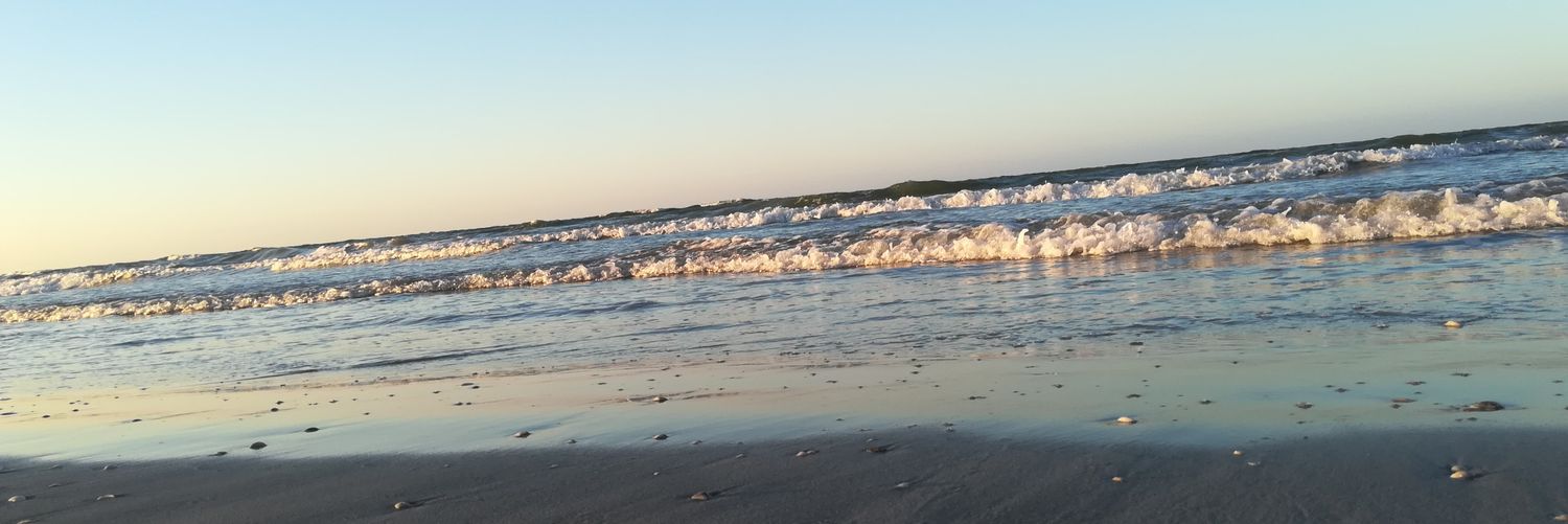 Michellefruiz's profile banner image