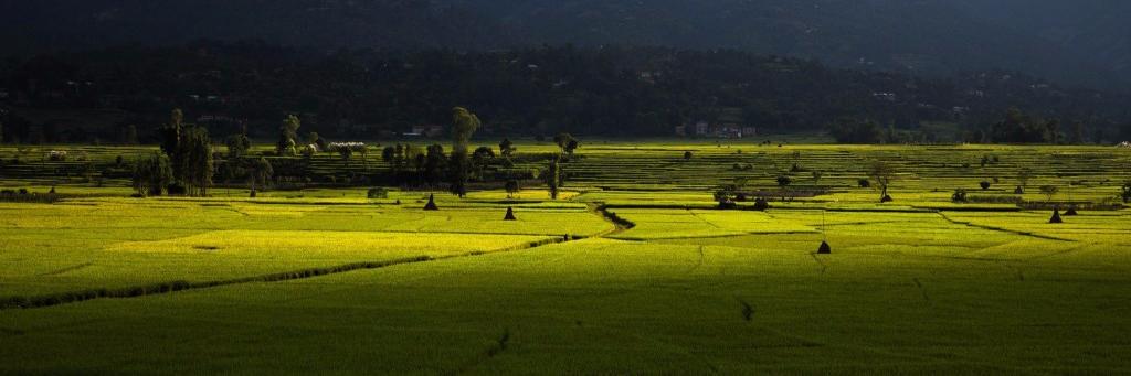 localnepal's profile banner image