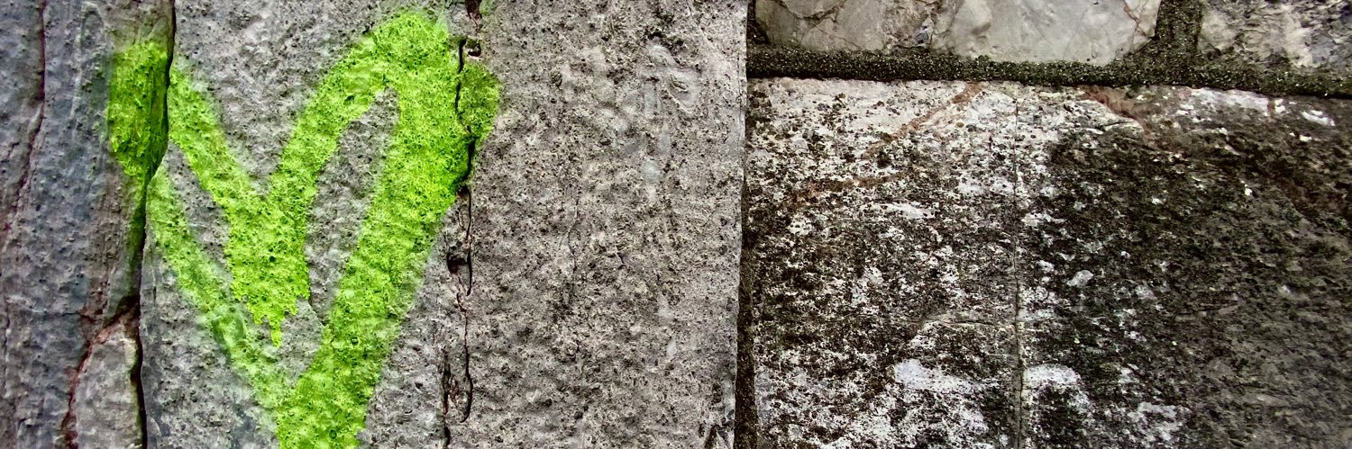 Alex Beverley banner