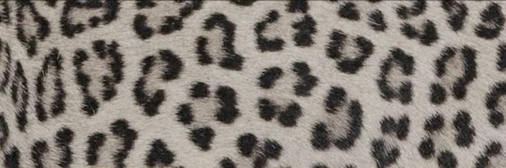 Becao💋 banner