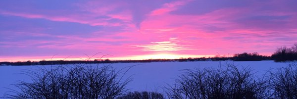 redrambles Profile Banner